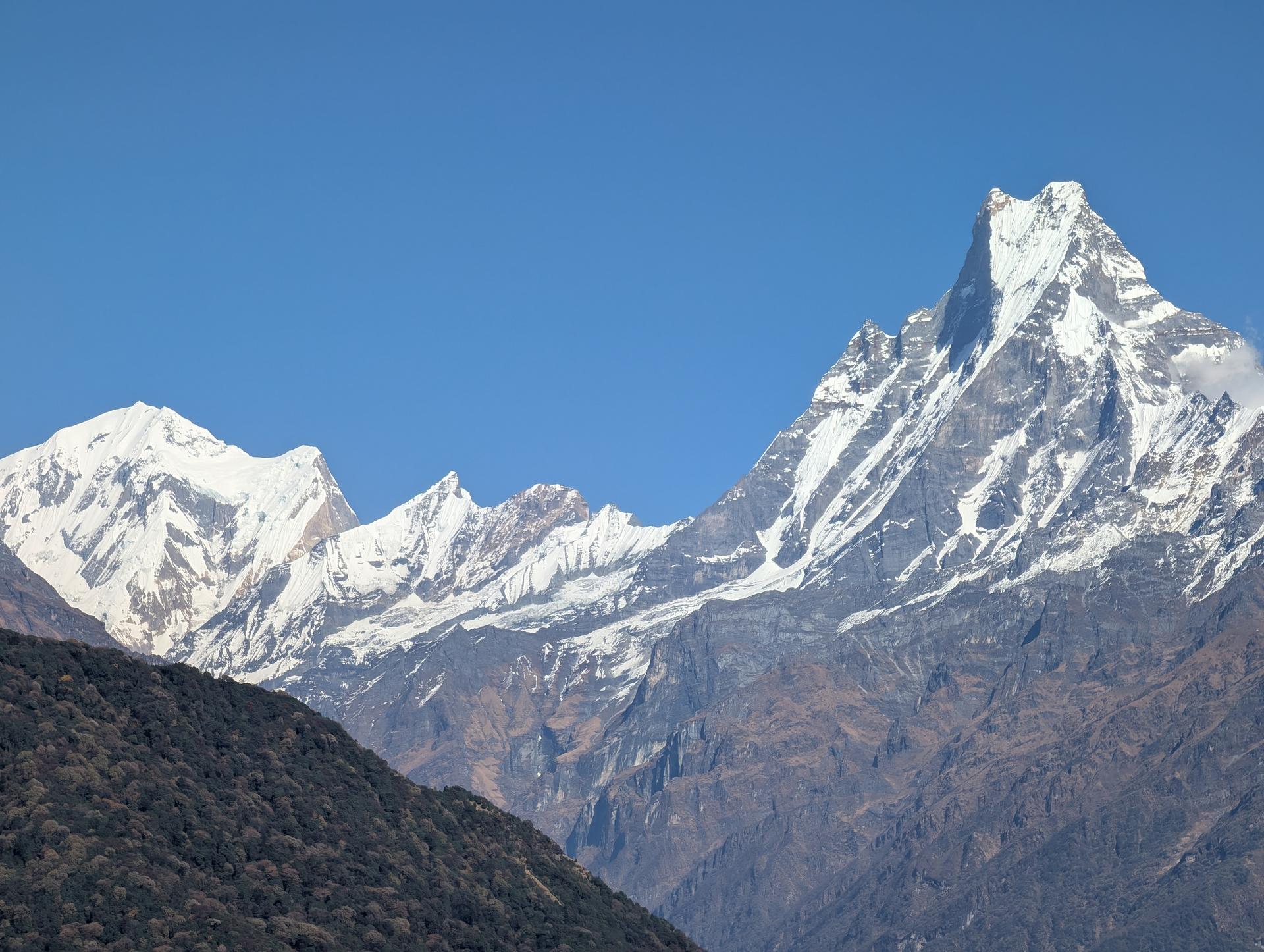 Close-up view of jagged snow-covered Himalayan peaks rising above a dark, forested ridge under a clear sky.